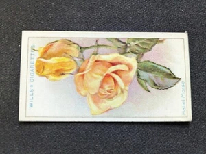 1926 Carta Wills Roses # 30 Mabel Morse (in perfette condizioni/ex) - Foto 1 di 3