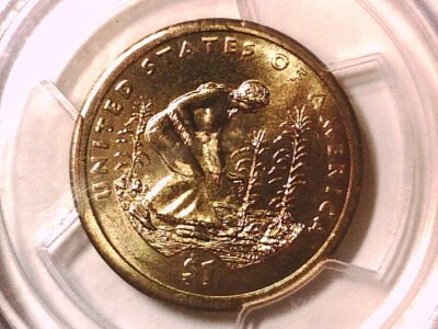 Dólar nativo americano P 2009 graduación profesional MS 67 borde débil letras posición A 15519519 Foto 1 de 3