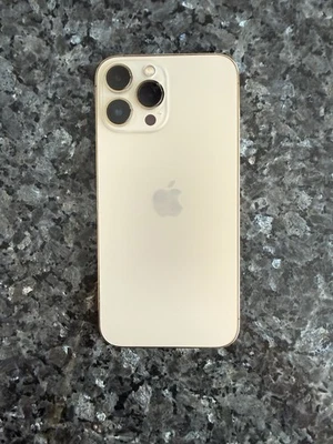 TOP ZUSTAND  - iPhone 13 Pro Max • 256 GB • Gold  - Bild 1 von 4