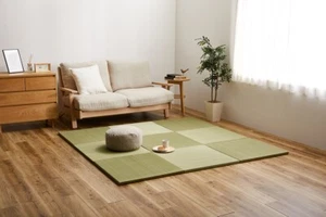 Rush Grass Colorful Tatami Mat Saya Non-Slip Japanese Floor Mat 65×65×2.5cm - Picture 1 of 13