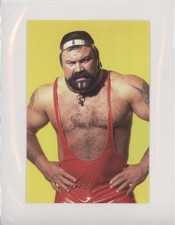 1998 Panini WCW/nWo Photo Cards Rick Steiner #62