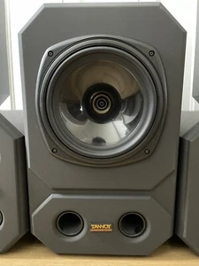 1 x TANNOY System 1000 doppio monitor di riferimento altoparlante vicino campo concentrico - Foto 1 di 14