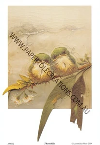 Paper tole Kit- PTC-AM002 Thornbills - Bild 1 von 1