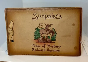 1941 REDWOOD FOREST CA, SNAP SHOT ALBUM LEDER UNBENUTZT - Bild 1 von 3