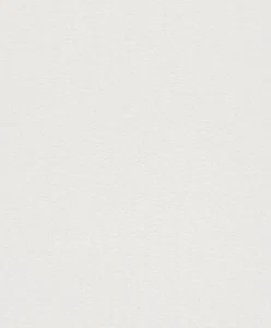 Rasch Tapete Vliestapete Sightseeing 899023 Uni grau-weiß - Foto 1 di 3