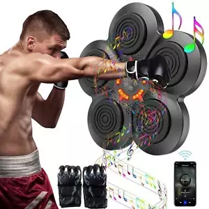 Smart Music Boxing Machine with Gloves -Wall Mounted Punching Trainer for Adults - Picture 1 of 11