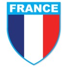 FRANCE BADGE- FLAG COOL SELF ADHESIVE STICKERS CAR VAN TRUCK