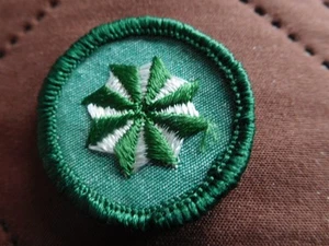 EL GIRL SCOUT ACTIVE CITIZEN PROFESSIONENCY BADGE GSUSA INSIGNIA GSA PATCH RE GARZA - Foto 1 di 3