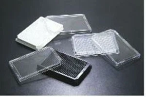 SPL 384 well Cell Culture Plate PS TC Treated, Sterile Flat Bottom Clear 40/Box - Picture 1 of 1