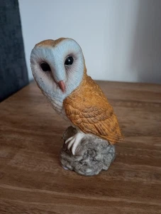 Collectable Figurine - Barn Owl Figure Perched on a rock - Very Good Condition - Picture 1 of 4