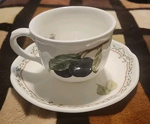 Noritake #7941 Gourmet Harvest Cup & Saucer New K - Picture 1 of 7
