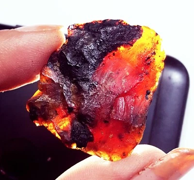 Lose Edelstein 100% Natürlicher Bernstein Roh 19,75 Ct Mit Kostenloses Geschenk - Bild 1 von 4