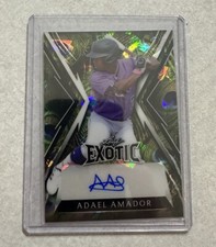 2023 Leaf Exotic Baseball - Auto - Autograph - Adael Amador #1/4 (Rockies)