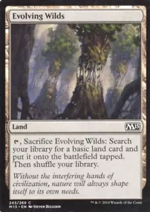 3X SET CORE EVOLVING WILDS 243/269 2015 M15 MTG MAGIC MP X3 - Foto 1 di 1