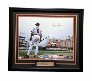 Cal Ripken Jr Signed Framed Photo Baltimore Orioles Autographed Auto JSA  - Picture 1 of 1