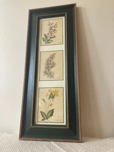 Grünes gerahmtes Triptychon Kräuterdrucke Salbei Rosmarin Kuhschlupf 21" hoch x 8 3/8" - Bild 1 von 6