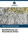 Bestimmung Von Penicillium Arten By Martha Natividad Mostajo Paperback Book
