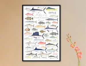 24x36 Fishes of the South Carolina Coast poster- Val Kells Nature Prints - Picture 1 of 4