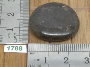 NUMITE pierre plate - Rare - shamane lithotherapie reiki esoterisme galet - Picture 1 of 2