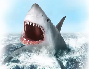 BREYER COLLECTA GREAT WHITE SHARK #88729 NEW LARGE MACKEREL SHARK MODEL 8" LONG - Picture 1 of 2