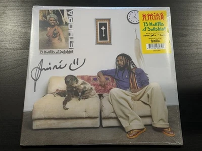 AMINE AMINÉ 13 Months of Sunshine SIGNED GREEN VINYL SEALED [BRAND NEW!] - Image 1 of 4