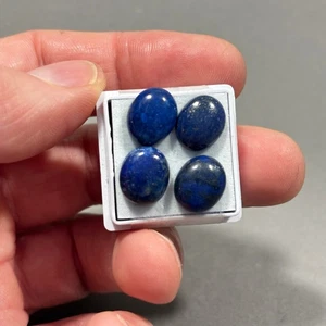 4 x natürlicher Lapislazuli oval 12 x 10 mm Cabochon blau 17,00 Karat E0-1298 - Bild 1 von 3
