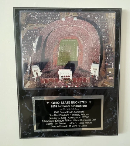 Ohio State Buckeyes 2002 National Champions Commemorative Wall Plaque 12"x15" GC Cover