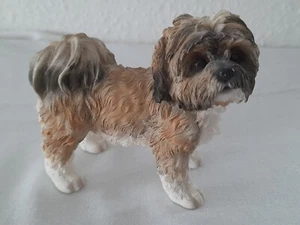 Leonardo Shih Tzu standing 3.5 inches tall - Picture 1 of 4