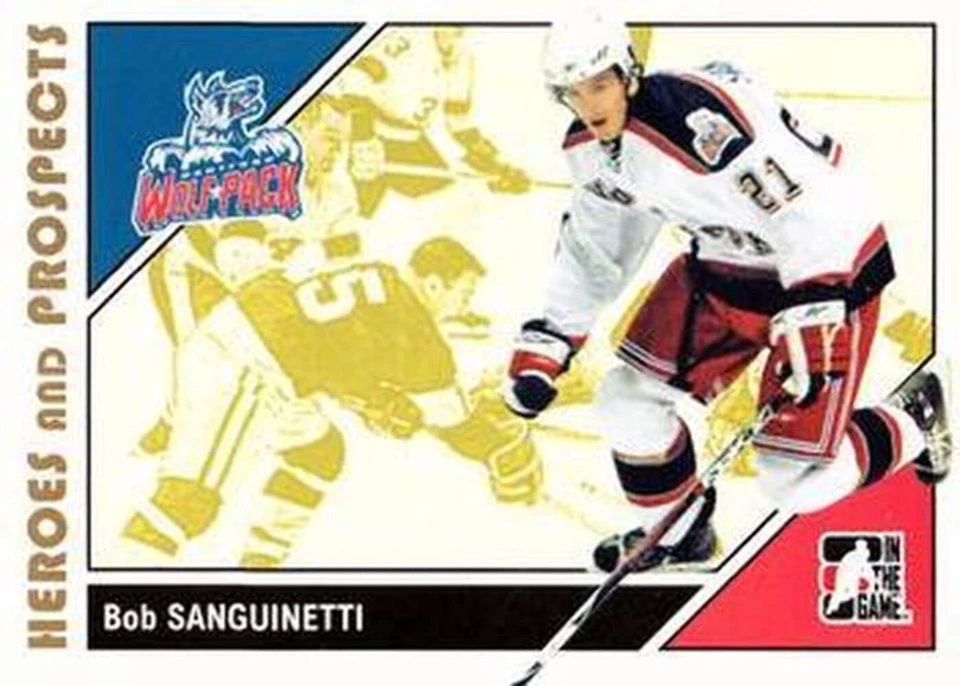 #29 Bobby Sanguinetti - Hartford Wolf Pack - 2007-08 In The Game Heroes and Pros - Image 1 of 1