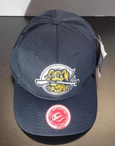 OC Sports Charleston Riverdogs Hat Cap Strap Back Youth OSFM Blue MiLB MLB - Picture 1 of 8