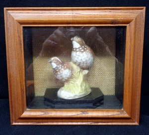 Porcelain Birds Figurine Inside Shadow Box - Picture 1 of 6
