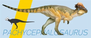 PNSO Pachycephalosaurus Austin Model Hell Creek Dinosaur Animal Collector Decor - Foto 1 di 8