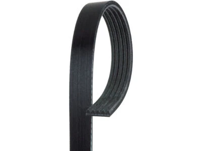 Cinturón multi costilla para Freightliner FLD120 1999 AC Delco 31496GPFF Foto 1 de 2