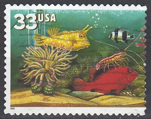 USA Briefmarke gestempelt 33c Fische Tiere Jahrgang 1999 / 2605 - Bild 1 von 1