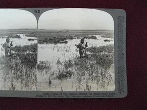 Stereoview Underwood & Underwood Plain Of The Upper Jordan Hermon Palestine (O) - Picture 1 of 4