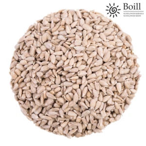 Boill Sonnenblumenkerne geschält, Premiumware - 25 kg. Lebensmittel zertifiziert - Bild 1 von 3