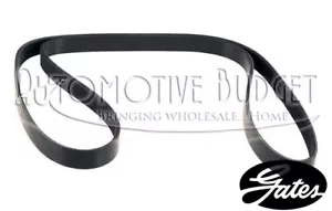Water Pump & Power Steering Pump Belt for Ferrari 456 & 550 Maranello - Gates - Foto 1 di 1