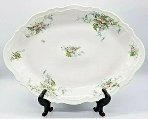 Plato antiguo grande de 15 1/2" Austria O&EG - Imagen 1 de 4