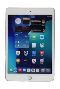 Apple iPad mini (5th generation) 2019 Tablet, 64GB, Wi-Fi, Space Gray, A2133 - Picture 1 of 8