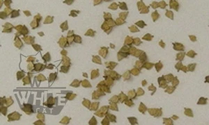 Realidad en escala 1:32 1:35 hojas de abedul (c. 100 unids.) - Otoño L3104* - Imagen 1 de 1