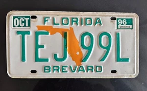 Florida Orange Map Brevard County USA License Licence Number Plate TEJ 99L - Picture 1 of 5