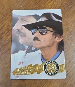 Richard Petty 1995 de carreras lleno de acción con Dale #73 - Imagen 1 de 2