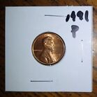 1991 - P Mint - Lincoln Memorial U.S. Penny + Protective Coin Holder