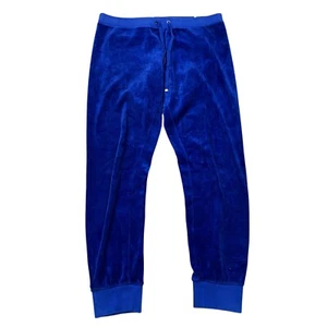 Juicy Couture Joggers Sweatpants Y2K Velour Blue Womens Medium - Picture 1 of 7