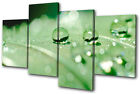 Floral Water Drops Flowers Multi Canvas Wall Art Picture Print Va