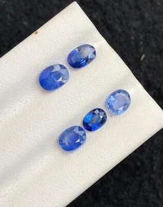2.40 Ct Natural Untreated Sapphire Blue Color 5 Piece loose gemstone lot - Picture 1 of 11
