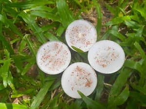 Handmade Décor Tea Lights Candle White Wax Home Wedding Celebrations Occasions - Picture 1 of 9