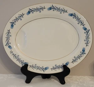 Theodore Haviland New York - Clinton - 11 1/2" x 9" Ovale Servierplatte - Bild 1 von 6