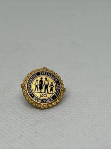 Gold Tone Cooperative Extension Service 20 Years New York Collectible Lapel Pin - Picture 1 of 3