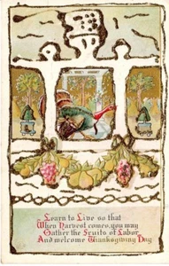 Postal de Colección Acción de Gracias Saludo Pavo Aprende a Vivir Bonita Tarjeta de Arte Antiguo - Imagen 1 de 2